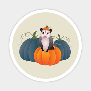 Awesome Possum In A Pumpkin Magnet